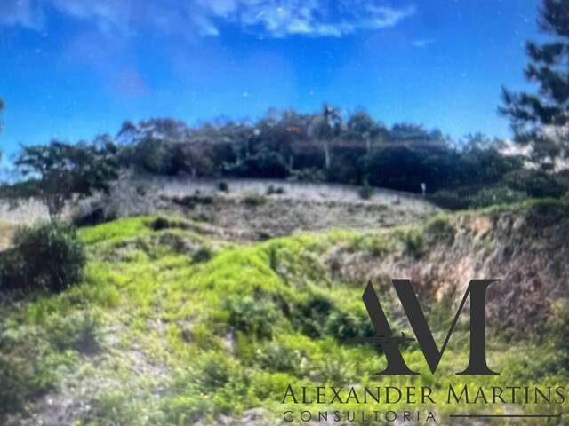 #60 - Área para Venda em Florianópolis - SC