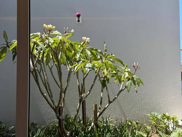 #261 - Apartamento para Venda em Florianópolis - SC