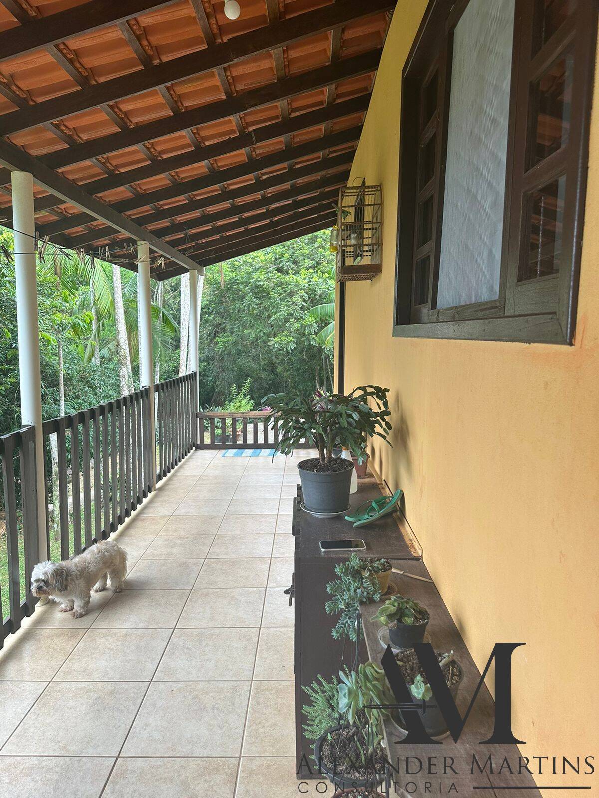 Casa à venda com 3 quartos, 110m² - Foto 4
